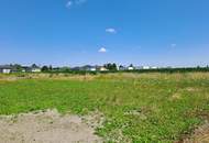 Baugrundstück am Feldesrand