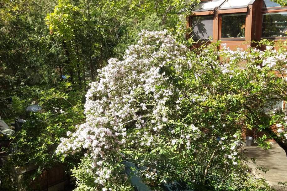 Licht. Raum. Lebensqualität., Wohnung-kauf, 455.000,€, 2340 Mödling