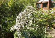 Licht. Raum. Lebensqualität.