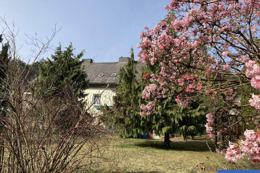 Fernblick garantiert, Haus-kauf, 268.000,€, 2752 Wiener Neustadt(Land)