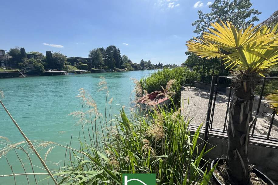 RUHIGES WOHNEN DIREKT AM WASSER! Bungalow mit Blick ins Grüne &amp; direktem Badezugang! Erholung pur! Möbliert! - JETZT ZUSCHLAGEN, Haus-kauf, 289.001,€, 2301 Gänserndorf