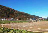 Landwirtschaft ca. 3,3 ha, mit Hofstelle