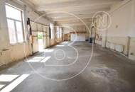 Modernes Einfamilienhaus mit großzügiger Lagerhalle/Werkstatt in zentraler Lage!