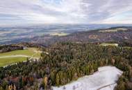 Goldene Felder für Ihre Ernte – Ihre Chance, den Boden zum Leben zu erwecken!