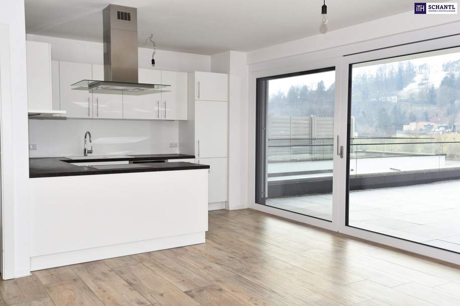 PENTHOUSE I DACHTERRASSE I AUSBLICK I PERFEKTE VERKEHRSANBINDUNG - Penthouse mit 181,60 m² Dachterrasse! TIEFGARAGENPLÄTZE !, Wohnung-kauf, 760.000,€, 8054 Graz-Umgebung
