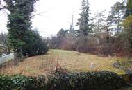 Bastlerhit mit großem Garten - ruhig in einer Sackgasse gelegen