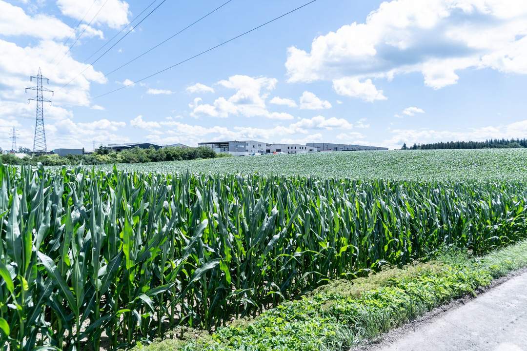 Gewerbegrundstück in Wolfern - perfekt für Ihren Betriebsstandort