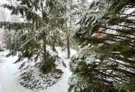 Gepflegte 3-Zimmer Familienwohnung mit Loggia in Grünruhelage