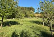 Attraktiver Bungalow auf einem großzügigen, sonnigen Grundstück in ruhiger Südlage