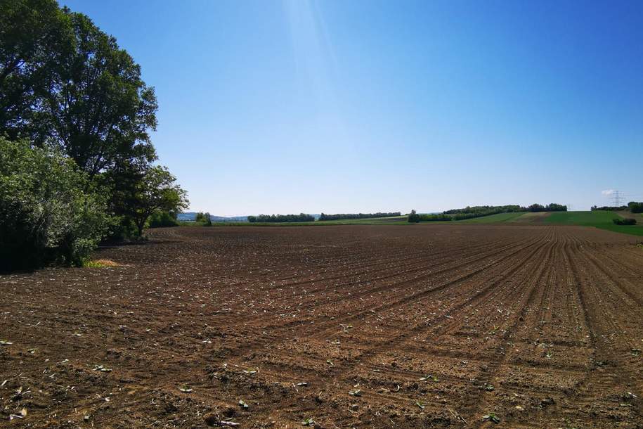 Ortsrandlage mit herrlichem Fernblick: eben, sonnig &amp; ruhig, Grund und Boden-kauf, 470.000,€, 2111 Korneuburg
