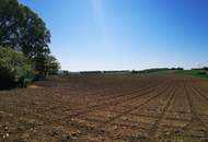 Ortsrandlage mit herrlichem Fernblick: eben, sonnig & ruhig