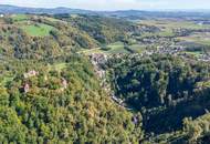 Naturparadies Pesenbachtal - Grundstück mit Altbestand