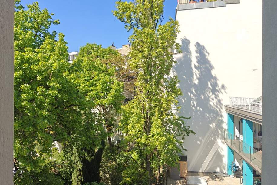 Nähe Währinger Park: Herrliche Wohnlage + Top Zustand + 8 Min. zur U6 + Charmante Details + Ruhige Seitengasse + Sonnige Ost-West-Ausrichtung, Wohnung-kauf, 485.000,€, 1190 Wien 19., Döbling