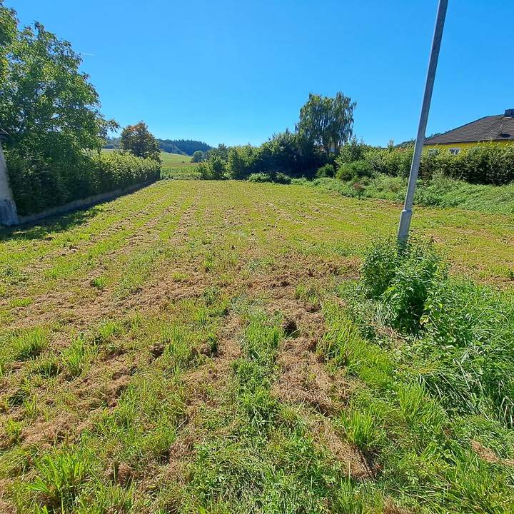 Ein guter Grund weiterzulesen.....