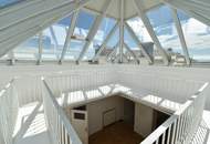 230m² Büro im Dachgschoss in der Rosenvilla!