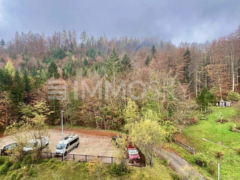 Gemütliche Ferienwohnung nahe Hallstättersee - Natur Pur!