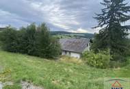 Wohnen im Grünen: Ihr Traum vom eigenen Haus in wunderschöner Naturlage!