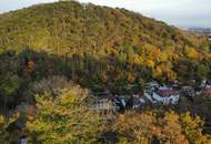 baugenehmigtes luxuriöses und exklusives Wohnbauprojekt in außergewöhnlicher Villen-Waldrandlage! Rund um - Natur pur!