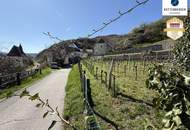 Preissenkung! Förthof: Winzerhaus mit großem Garten und Donaublick