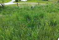 WER RUHE SUCHT WIRD HIER FÜNDIG