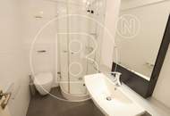 Dachgeschossjuwel mit Blumenparadies-Terrasse in zentraler Lage!