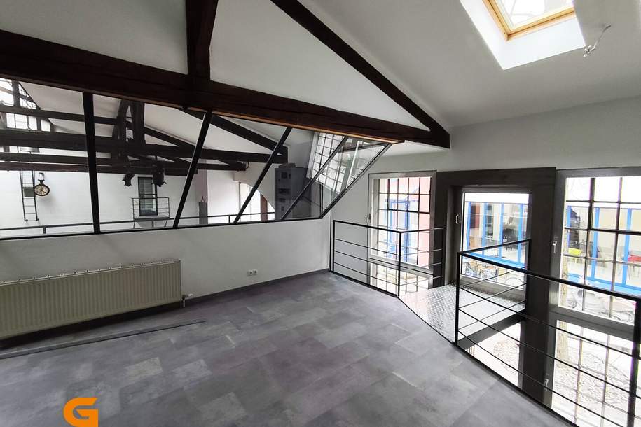 Schallmoos - Betriebsobjekt im Industrialstyle kaufen, Gewerbeobjekt-kauf, 4.200.000,€, 5020 Salzburg(Stadt)