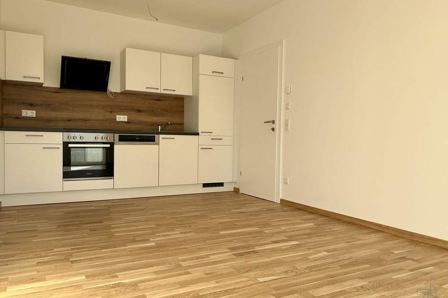 Befristet vermietete, gemütliche 2-Zimmer Anlegerwohnung - NEUBAU! Provisionsfrei!, Wohnung-kauf, 250.980,€, 8054 Graz(Stadt)