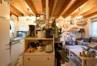 " Sonne, Blumen, Frühlingstart! - Kleingartenhaus in Stockerau "