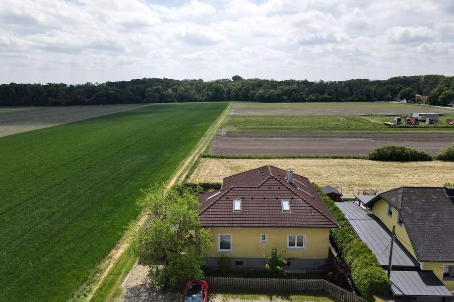 Großzügiges Einfamilienhaus in familienfreundlicher Umgebung am Ortsrand, Haus-kauf, 550.000,€, 2301 Gänserndorf