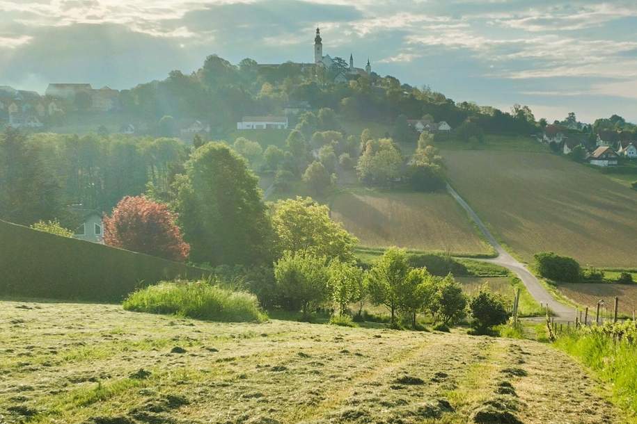 2 ERSCHLOSSSENE BAUGRÜNDE MIT OBSTBAUM-BESTAND UND WEINREBEN IM VULKANLAND DER SÜDOSTSTEIERMARK, Grund und Boden-kauf, 120.000,€, 8345 Südoststeiermark