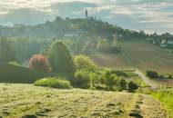 2 ERSCHLOSSSENE BAUGRÜNDE MIT OBSTBAUM-BESTAND UND WEINREBEN IM VULKANLAND DER SÜDOSTSTEIERMARK