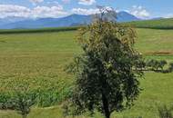 Traumhaftes, ca. 3.109 m² großes Baugrundstück mit Blick auf die Karawanken im Bezirk Völkermarkt