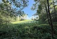 Erholung pur im eigenen Wald mit Bach und Wiesen nähe Amstetten