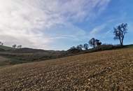 16 ha Landwirtschaft mit Mostviertler Vierkanthof