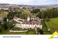 Doppelhaushälfte mit Grundstück in Reichenthal