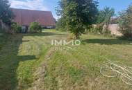 WOHN-UND GESCHÄFTSHAUS AUS DEM 16. JAHRHUNDERT IM HERZEN VON LANGENLOIS 100 m Kellerröhre, Nebengebäude, Innenhof, Geschäftslokale, usw.