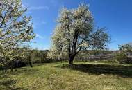 Idyllisches Wohnhaus mit Obstgarten
