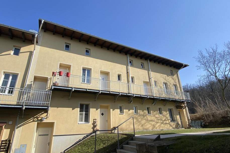 2 - Zimmer Wohnung im schönen Eggen, Wohnung-miete, 624,44,€, 3730 Horn
