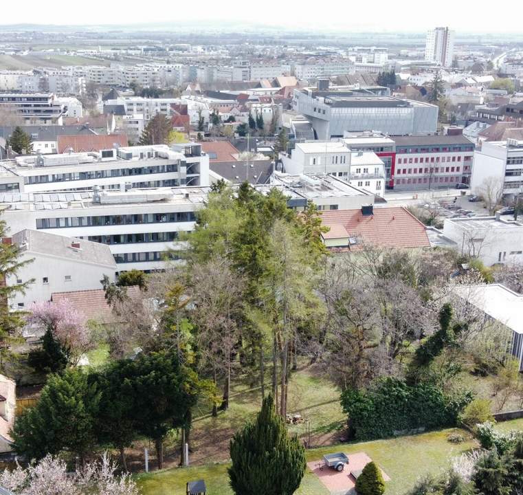attraktives Grundstück mit Altbaumbestand in Bestlage von Eisenstadt