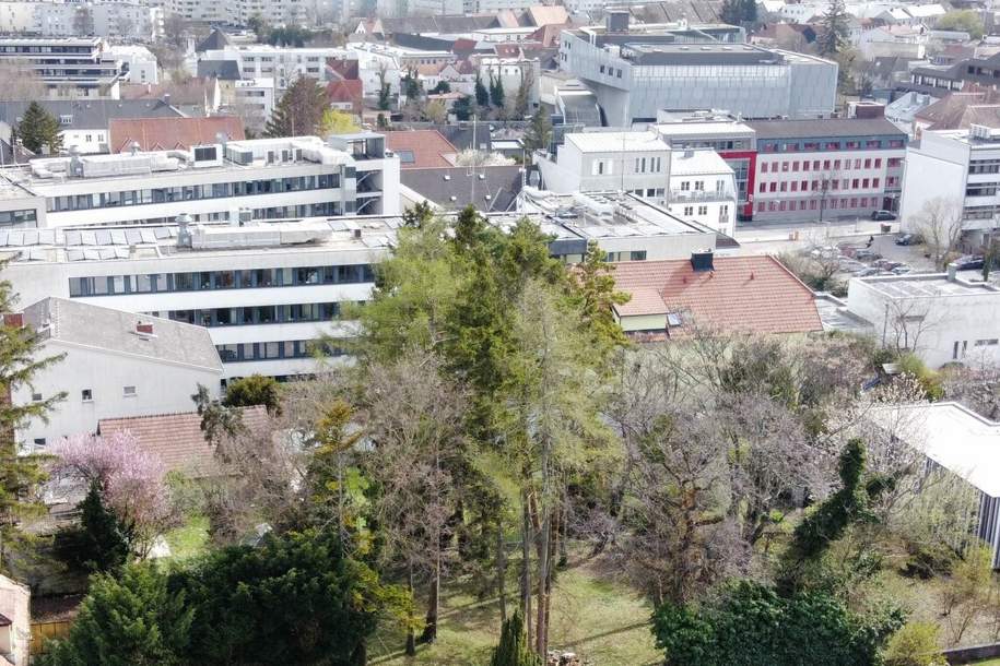 attraktives Grundstück mit Altbaumbestand in Bestlage von Eisenstadt, Grund und Boden-kauf, 349.000,€, 7000 Eisenstadt(Stadt)