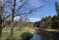 Sacherl mit ca. 15 ha Grund – Natur, Ruhe und viel Platz für Mensch und Tier