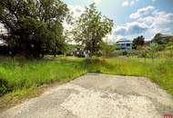 Die Donau im Blick