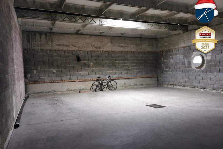 Lagerhalle / Garage in der Mitterau, Gewerbeobjekt-kauf, 240.000,€, 3500 Krems an der Donau(Stadt)