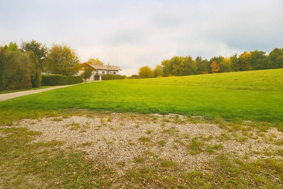 Exklusiver Baugrund in Holzöster, Grund und Boden-kauf, 219.000,€, 5131 Braunau am Inn