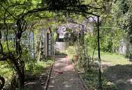 Geschmackvoll sanierte Altwiener Villa mit Biedermeiergarten Nähe Rudolfinerhaus !