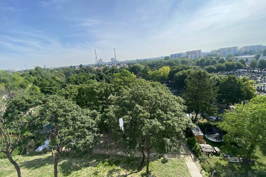 U3 ERSTBEZUG Top Anlage Dachwohnung 2 Zimmer + Terrasse =DAS LAURENZ= 1 bedroom apartment+terrace, Wohnung-kauf, 316.688,€, 1110 Wien 11., Simmering