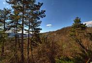 "Herrliches Baugrundstück mit Aussicht"