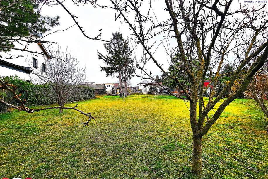 Stadtgrenze Wien, nicht aufgeschlossenes Grundstück,Nähe Gänserndorf, Grund und Boden-kauf, 268.000,€, 2283 Gänserndorf
