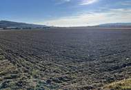 Attraktives Betriebsgrundstück in Pöchlarn!