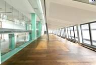 LUXUS-LOFT/ GROSSRAUMBÜRO IN DER WIENER BÖRSE